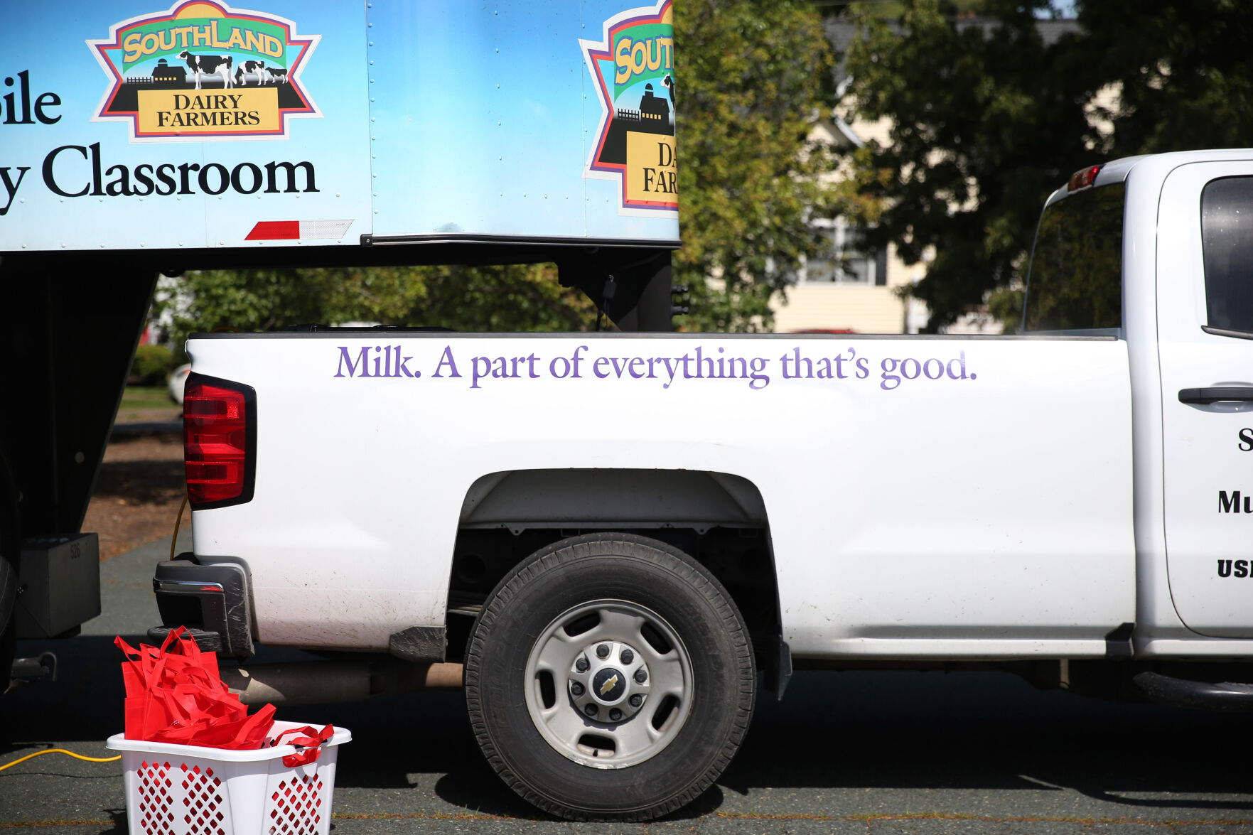 051721-cdp-news-COW232.JPG